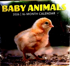 2026 Baby Animals Mini Wall Calendar 5.5" X 6" closed 6" X 11" open