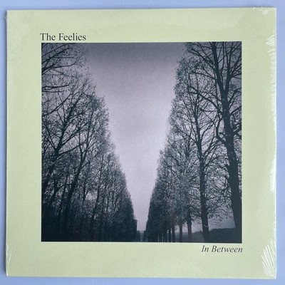 The Feelies   In Between   Vinyl, LP, Reissue, Bar/None Records, 2017 NEW Rock