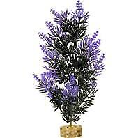 Colorburst Florals Large Brush Plant - Black & Purple