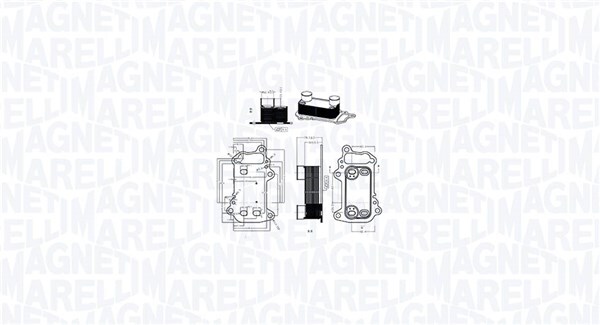 MAGNETI MARELLI 350300003900 Oil Cooler, engine oil for BMW