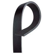 Gates Keilrippenriemen 117209538R 7PK1165SF