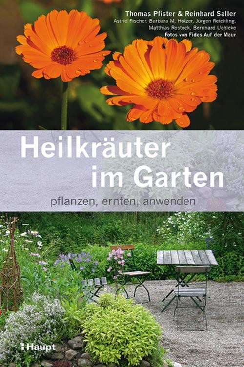 Heilkräuter im Garten: pflanzen, ernten, anwenden - Bild 2