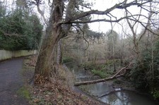 Photo 6x4 Burn, Lade Braes St Andrews There are two paths, the main one,  c2017