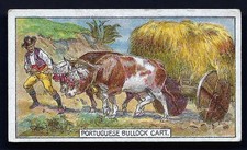 BRITISH AMERICAN (PLAIN) - TRANSPORT OF THE WORLD - PORTUGUESE BULLOCK CART