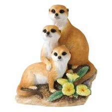 Country Artists Natural World - Snuggled Up- Meerkat Mob - CA03677