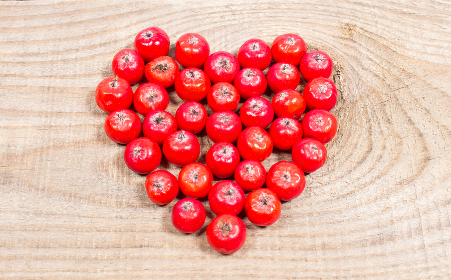 Heart Booster Capsules - Hawthorn Leaf Extract 665mg - Hawthorn Seed Powder 3B