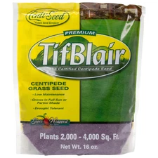 TifBlair Centipede Grass Seed 1 Lb Plants 2k - 4k Sq Ft For Sun or Partial Shade