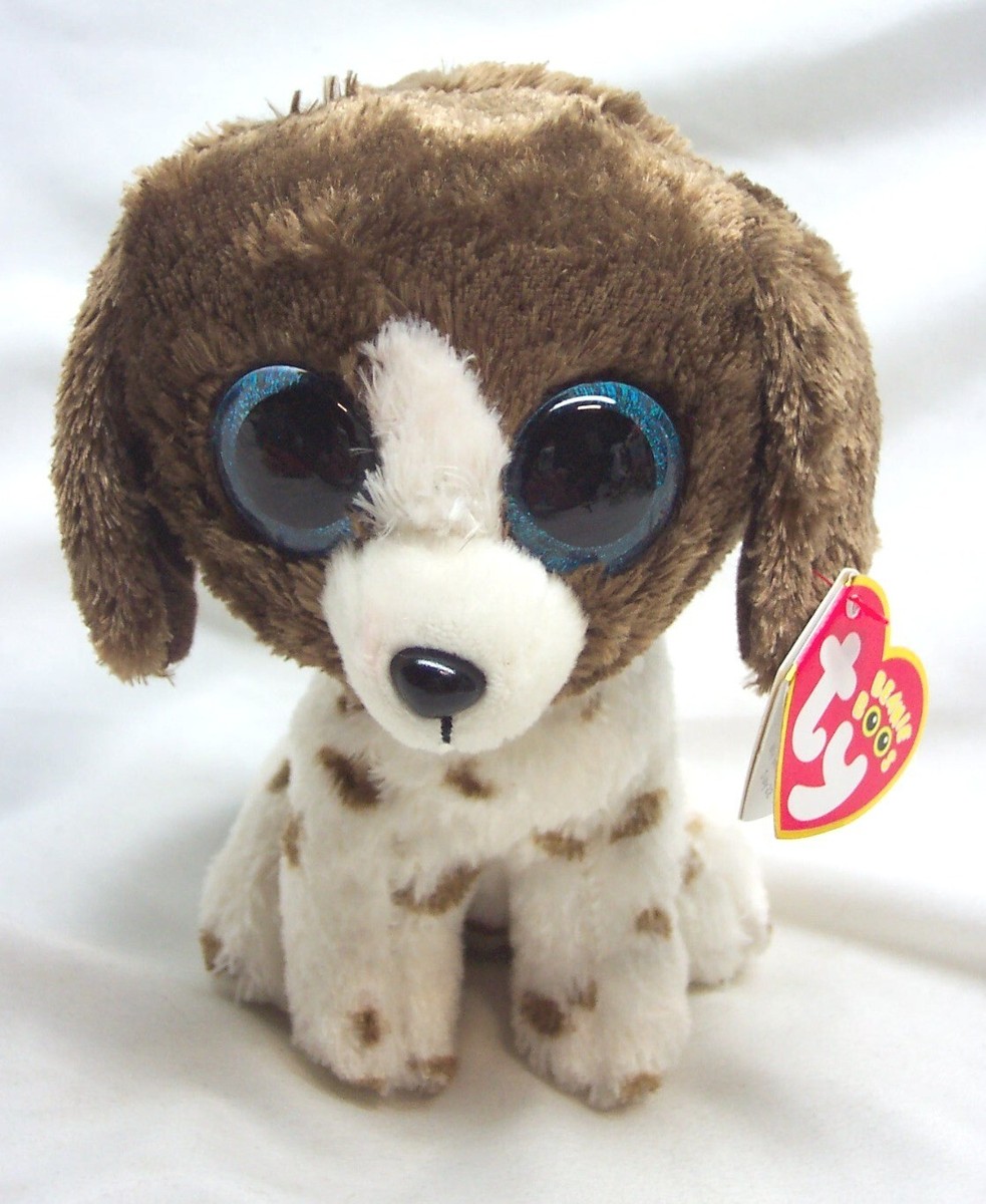 TY Beanie Boos MUDDLES GERMAN SHORTHAIRED POINTER DOG 6