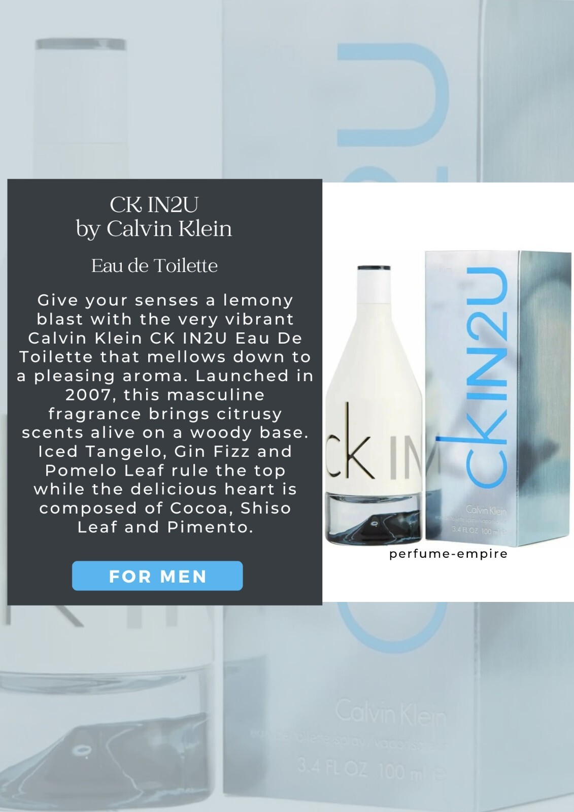 calvin klein ckin2u for him