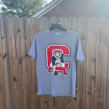 New England Patriots Football team champions logo ash shirt VK17205
