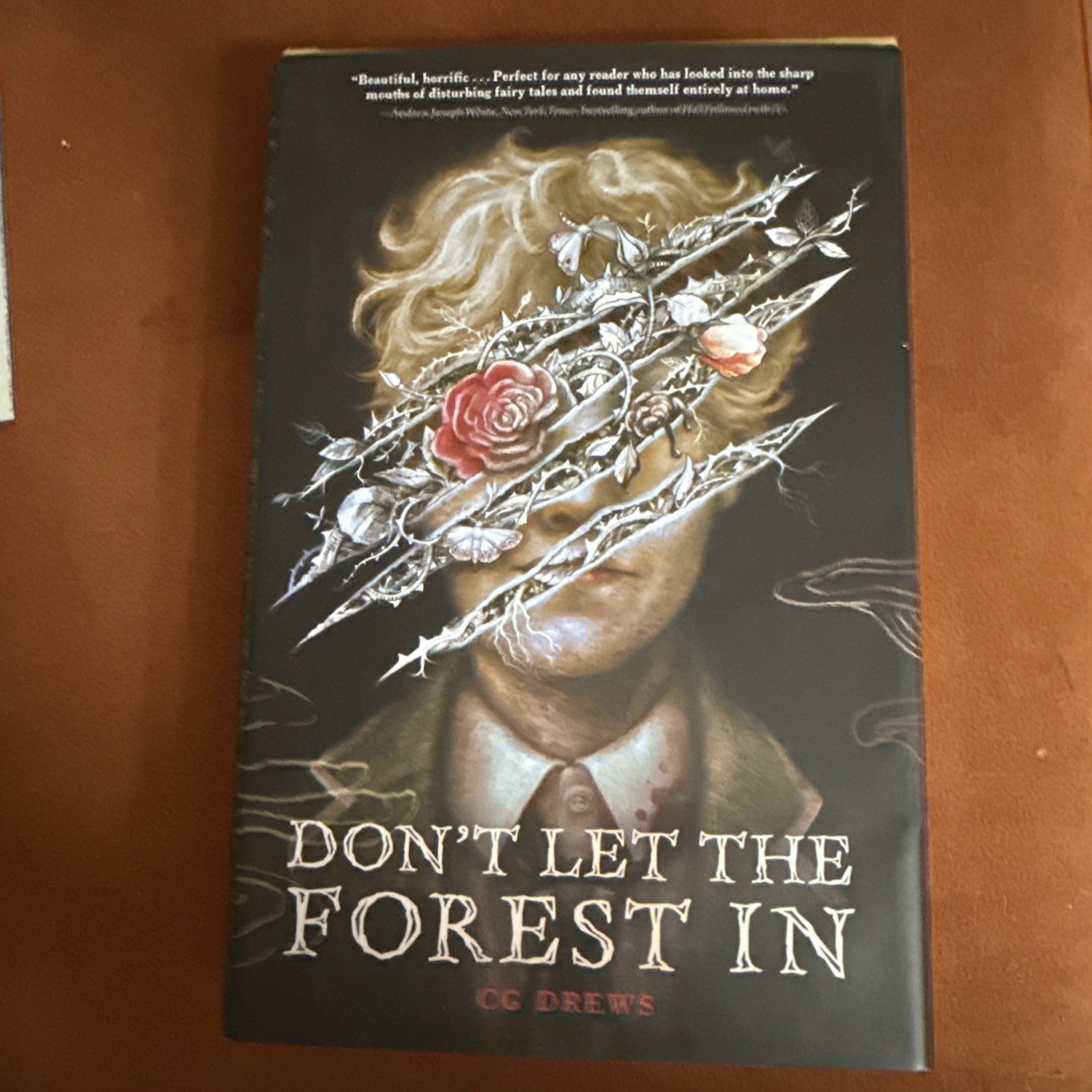 Don't Let the Forest in by C. G. Drews (2024, Hardcover)