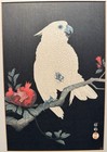 Bild 4 von 19