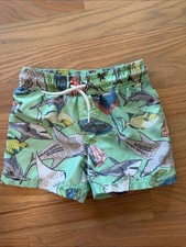 Carter's Mint Green Shark Fish Swim Shorts