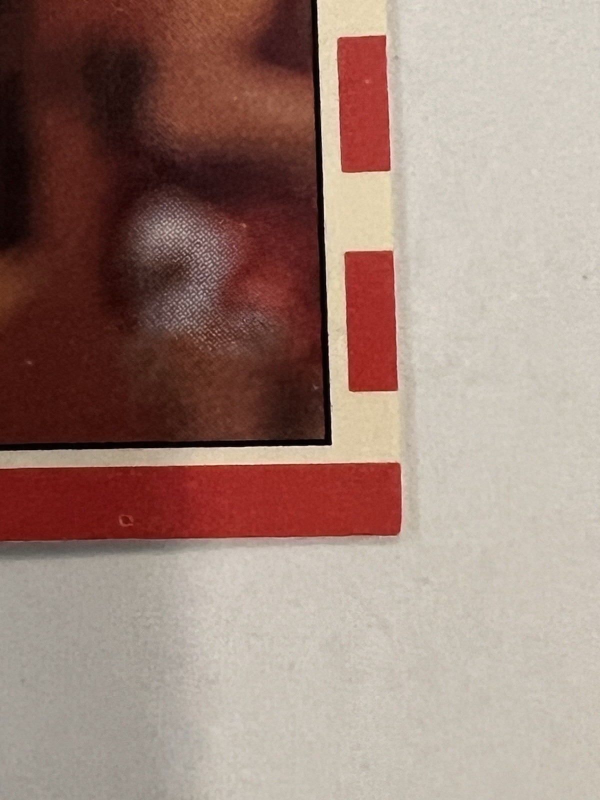 Picture 8 of 13