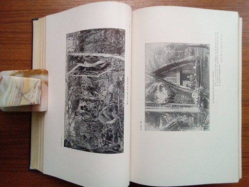 1929 The Sexual Life of Savages ~ HISTORY & PHOTOS ~ Bronislaw Malinowski ~ - Imagen 6 de 8