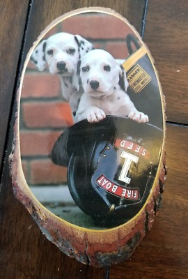 Small wood fire helmet and Dalmatian wall placque firefighter memorabila 