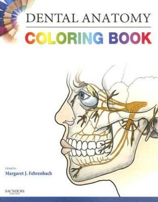 dental anatomy coloring book 1e  paperbacksaunders