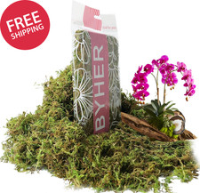 4oz Fake Moss for Potted Plants Artificial Green Moss for Crafts Faux Moss Decor