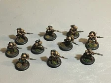 A24046 HORDES WARMACHINE CYGNAR METAL TRENCHER INFANTRY PAINTED BASED PP