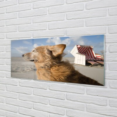 Tulup Acrylglas 125x50 Wandkunst Brown Hundestrand