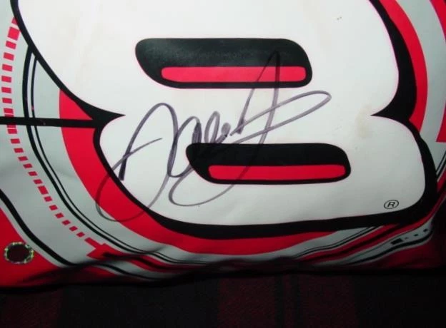 Cojín cojín asiento estadio vintage NASCAR AUTOGRAFIADO por Dale Earnhardt JR #8 Foto 2 de 4