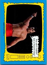 1987 Topps #73 Honky Tonk Man
