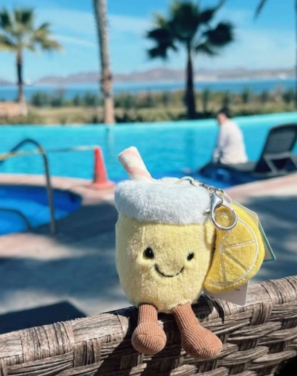 Jellycat Amuseables Lemonade Keychain Rare Food Collection Summer