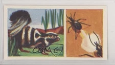 1960 Coopers Tea Strange But True Second Series Animals that Use Poison Gas 3v8