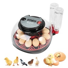 Couveuse pour Oeufs de Poule, Couveuse Automatique pour 12 Oeufs, Contrôle Autom