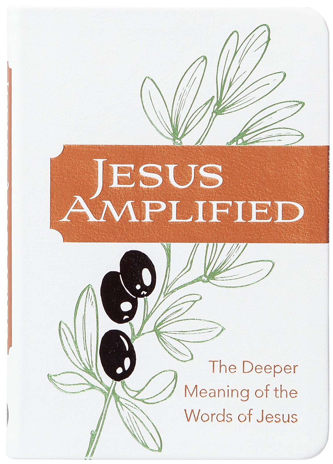 Jesus Amplified: The Deeper Meaning of the Words of Jesus. Comfort, Comfort,** - Image 3