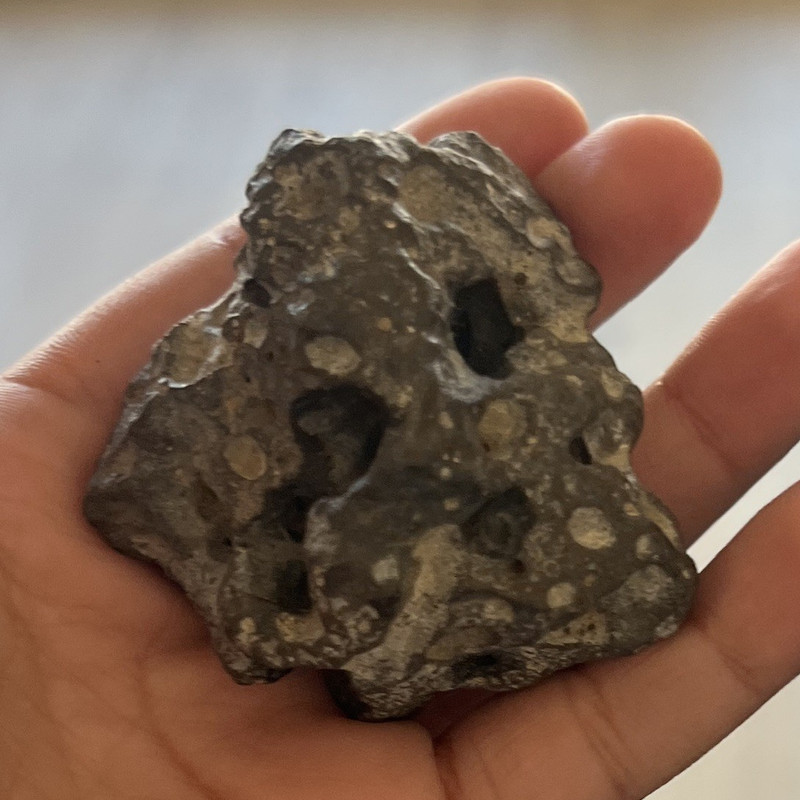 Small Porous Rock/Mineral Specimen with Natural Holes Mineral Sample