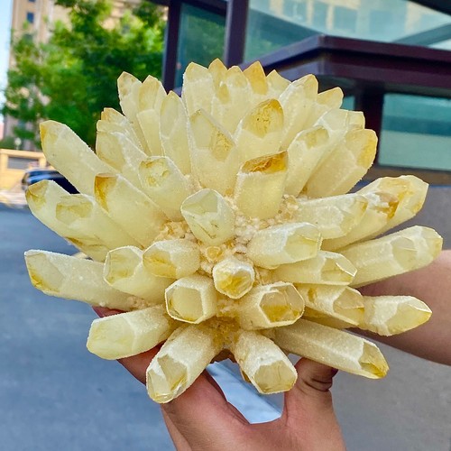 Unique yellow Crystal Cluster - Flower Formation - 7.7LB - Picture 3 of 14