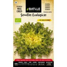 Graines Bio de Batlle - Endives aux cheveux d'ange Moss curled (0,6g)