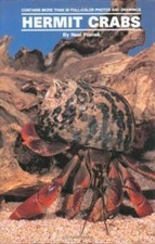 Land Hermit Crabs by Pronek, Neal