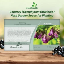 200 Seeds Symphytum Officinale Comfrey Herb Garden Plant Seeds For Planting