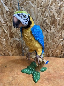 furreal squawkers mccaw talking parrot toy