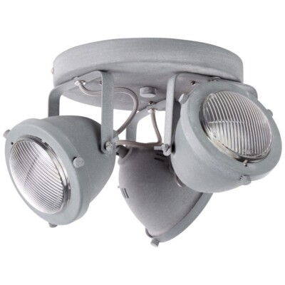 Brilliant Deckenspot Carmen Industrie