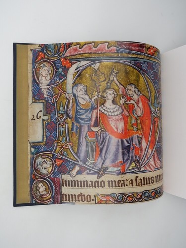 THE MACCLESFIELD PSALTER (COMPLETE FACSIMILE) by Panayotova, Stella 2008 - Imagen 5 de 6