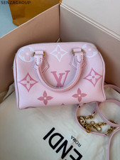 Louis Vuitton Speedy 20 Strawberry Ice Cream Handbag Women