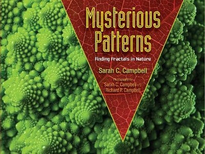 Sarah C. Campbell Mysterious Patterns (Taschenbuch) (US IMPORT)
