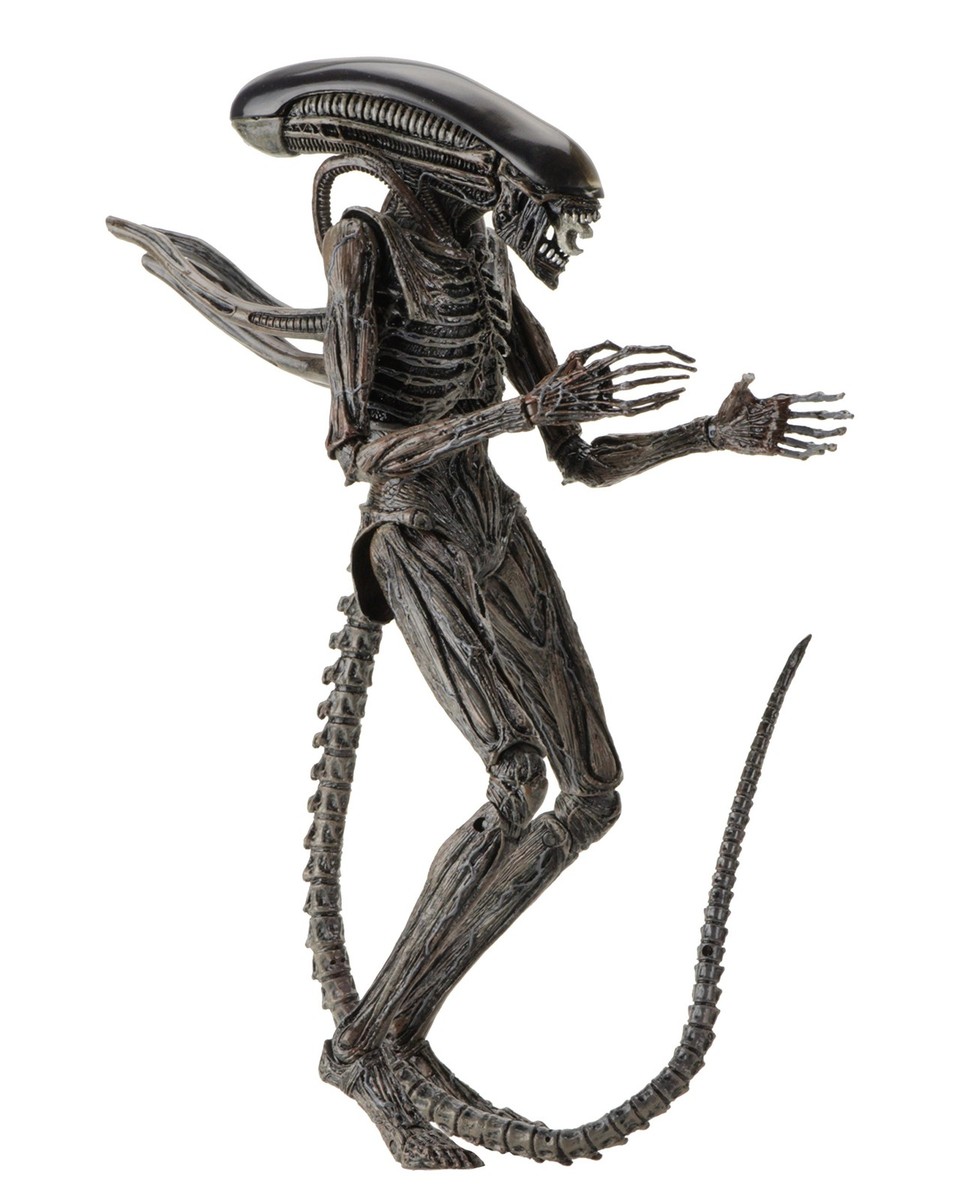 NECA Alien: Covenant - 7 Scale Action Figure - Xenomor(中古品) Neca Alien: Covenant - 7 Scale Action Figure - Xenomorph Action