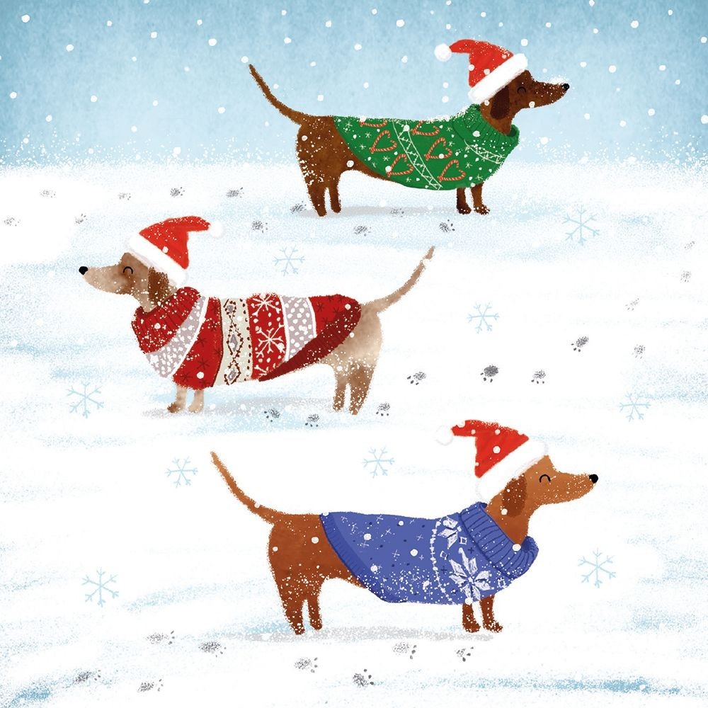 Snowy Paws Prints by Karen Kane Pack of 8 Charity Christmas Cards