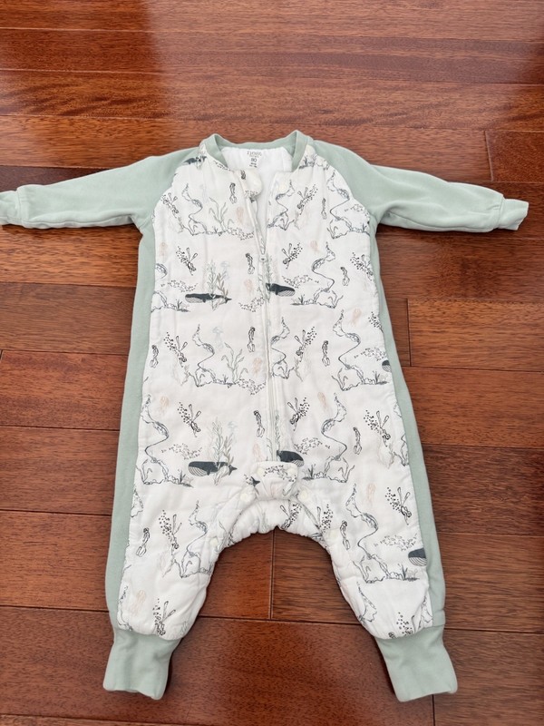 Nest Designs Sleep Suit Walker 2.5 TOG 