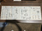 1960 Renwal The Visible Woman - See Through Skeleton - Unused In Box — photo 9