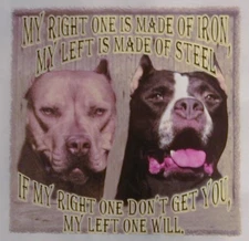 ALL AMERICAN  PITBULL LEFT 1 MADE OF IRON, RIGHT 1 MADE OF STEEL SHIRT #580