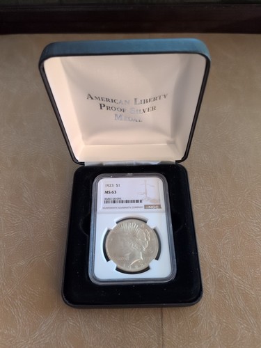 American Liberty Proof Silver Medal Hard Plastic Display Case No Coin