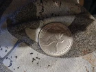 Silver Eagle 2024 W 1oz .999 Fine Big Scratch On Front