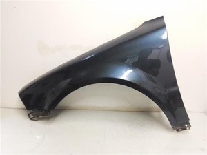 Vorderer Linker Kotflügel Volkswagen passat berlina 3b3 2000 19 tdi