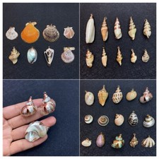 2pcs Natural Conch Shell Pendants,Unique Shape Sea Shell Charms