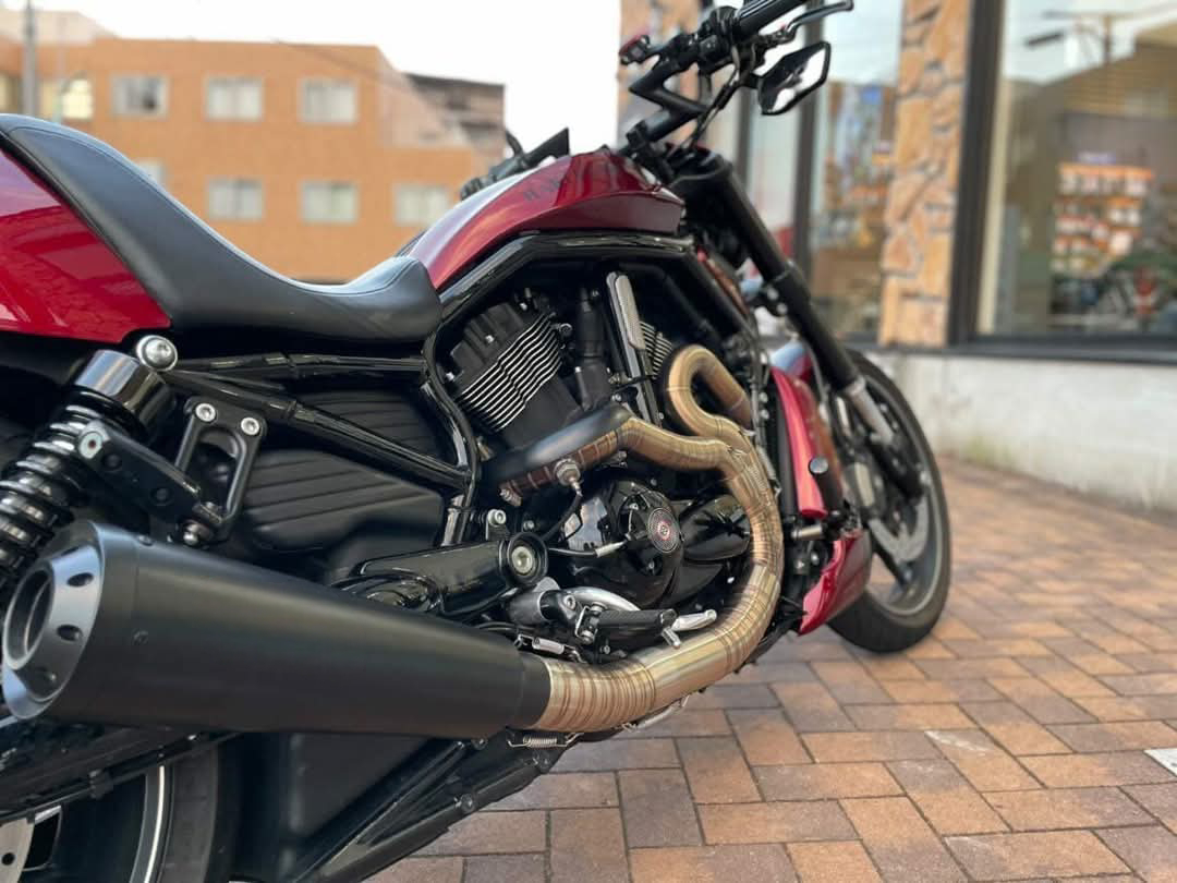 Harley Davidson V-ROD MUSCLE / V ROD SCREAMIN EAGLE Full System